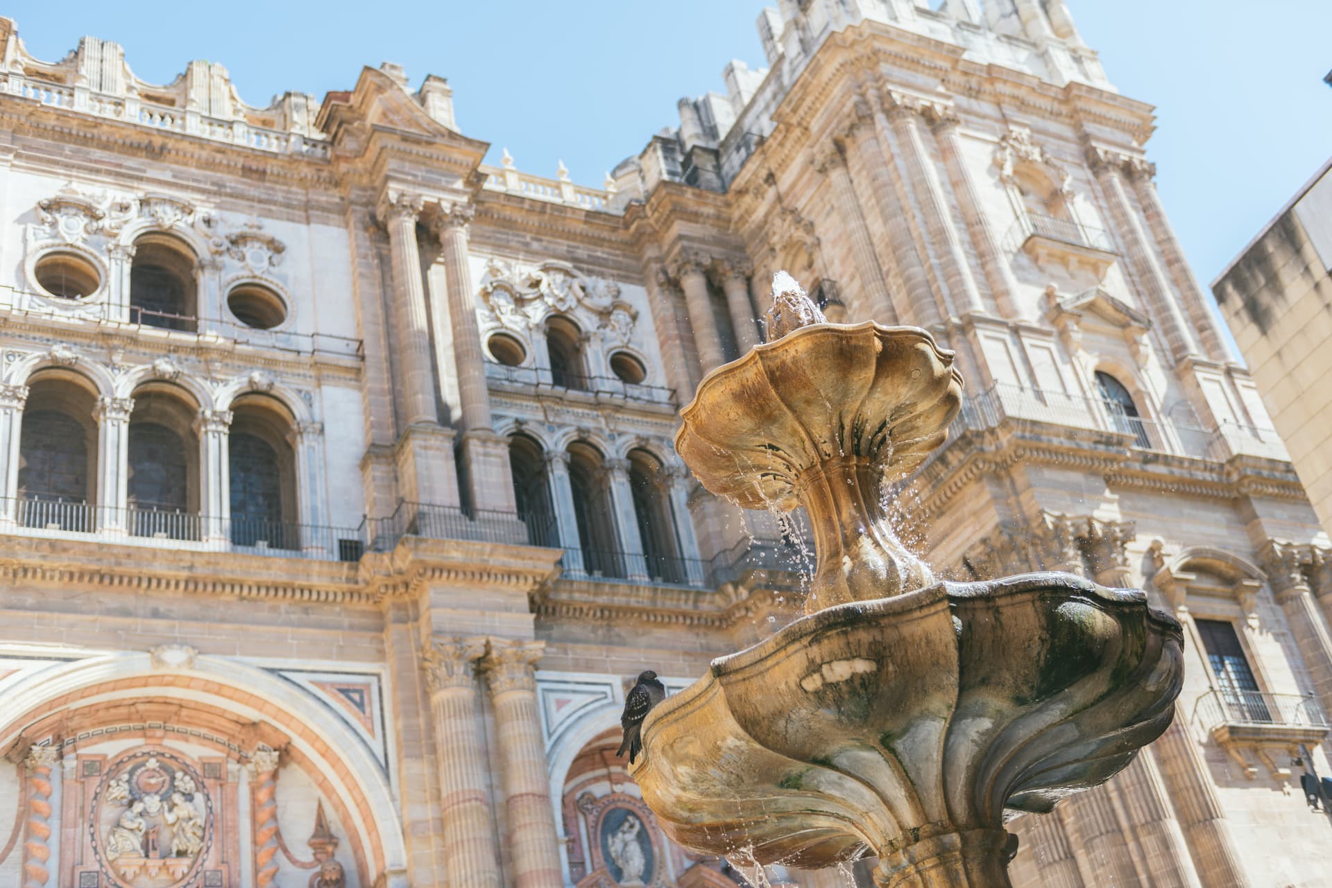 Historical center & Cathedral walking tour