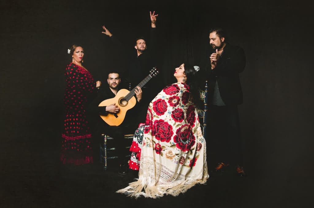 Flamenco Show in Granada