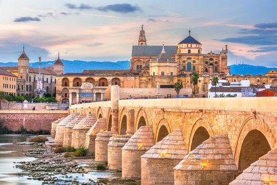 Complete visit from Malaga to Córdoba