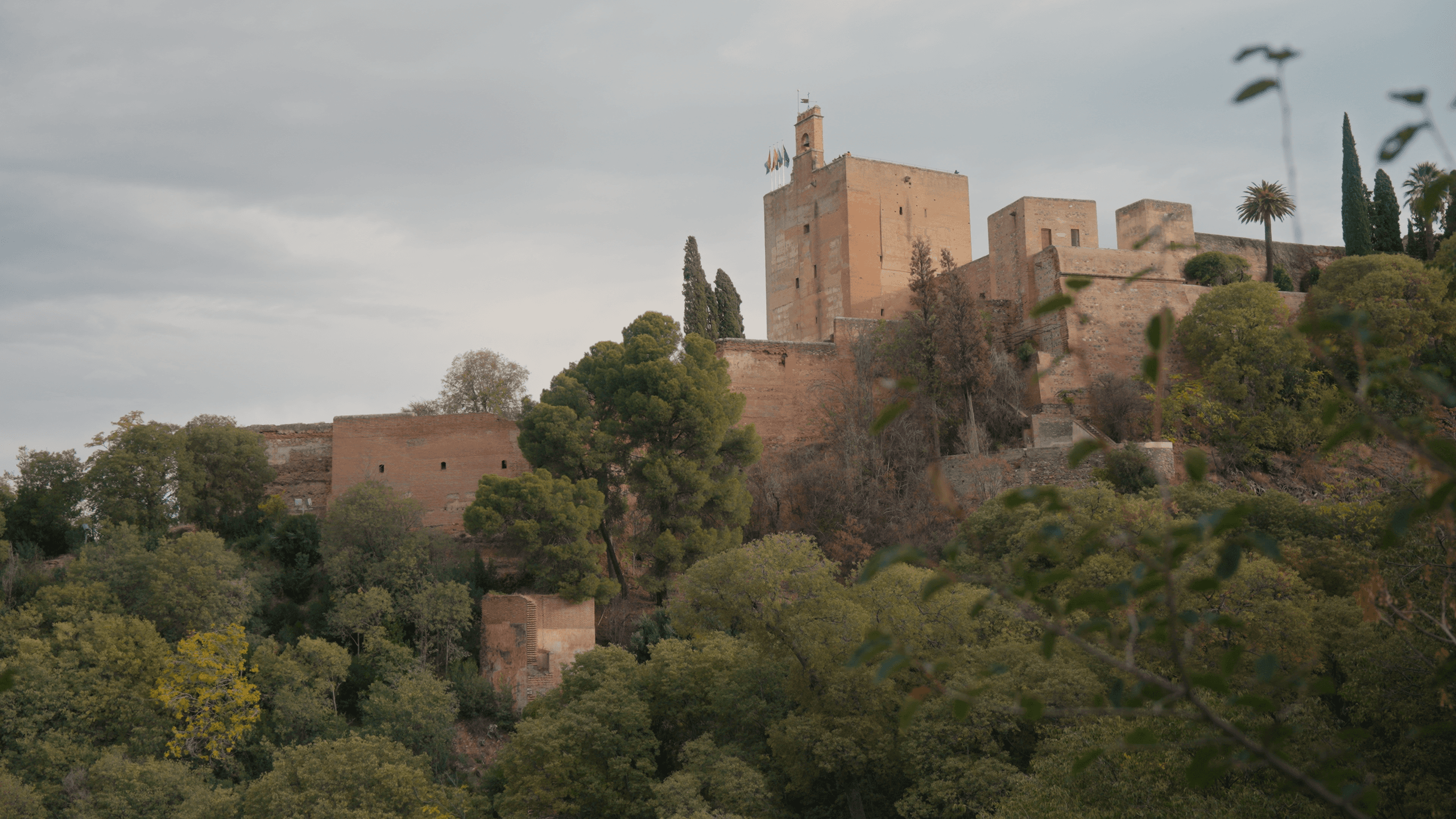 Tour Alhambra Generalife Palacio Carlos V y Alcazaba