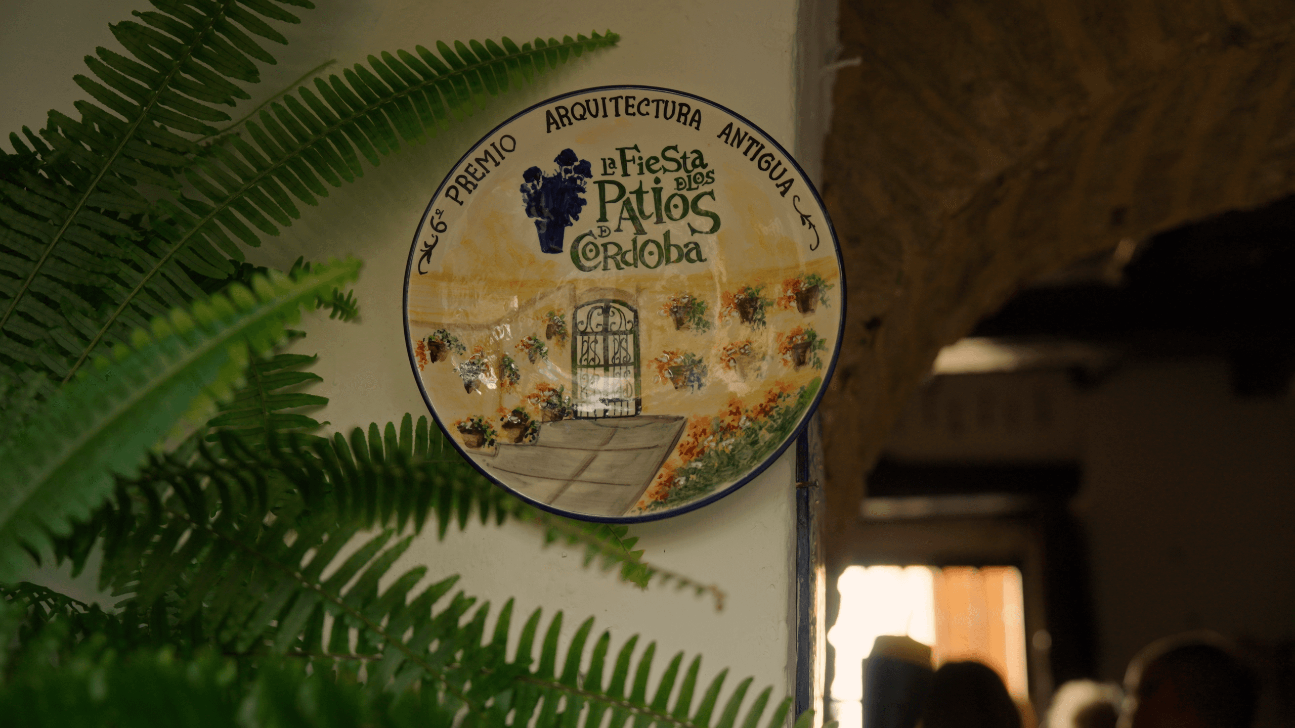 Visita guiada por los Patios de Córdoba