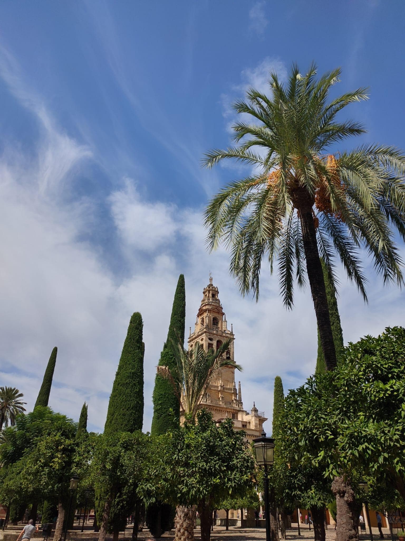 Visite guidée de la mosquée et de l'Alcazar