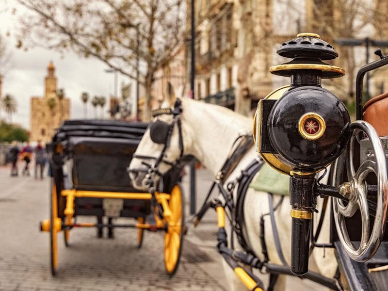 Paseo en coche de Caballos por Sevilla | Sevilla a pie